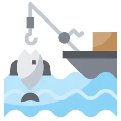 Fishing