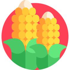 玉米