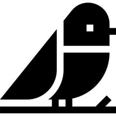 鸟