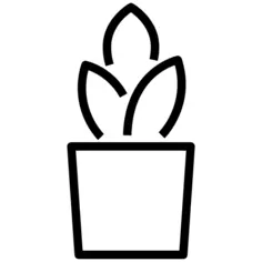 花盆