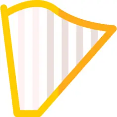 爱尔兰人