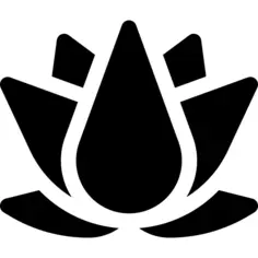 莲花