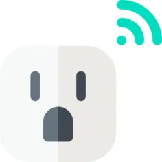 Socket