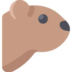 土拨鼠