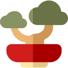 Bonsai