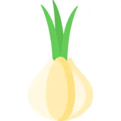Onion