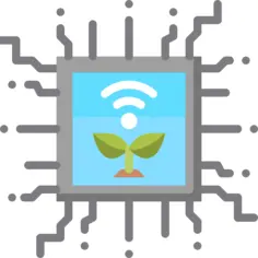 Cpu
