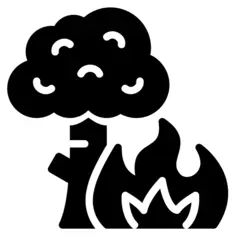 Wildfire