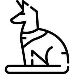 猫