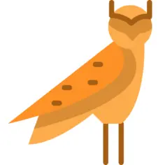 猫头鹰