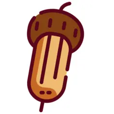 橡木