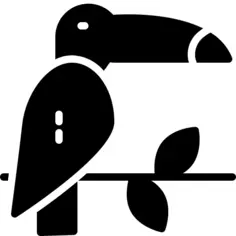 Toucan