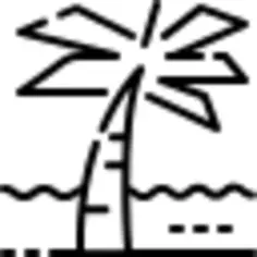 Palm tree