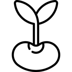 种子