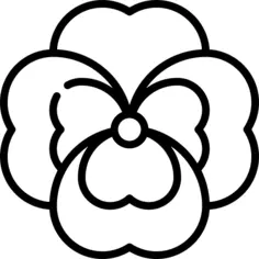 三色堇