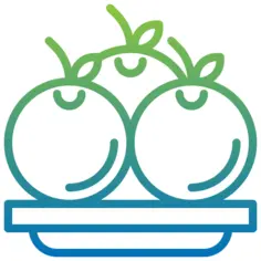 橙子