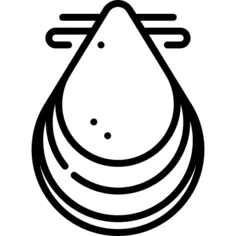 蚌