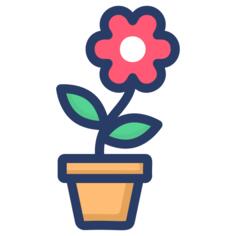 花盆