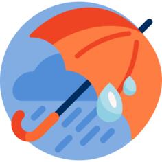 雨