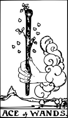 Ace of wands card