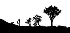 Desert landscape silhouette