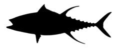 Tuna vector silhouette