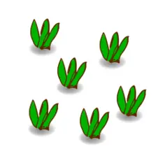 Leaves of grass vector drawing