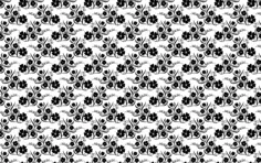 Floral background in white and black