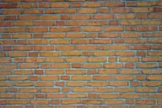 Brick wall vector image
