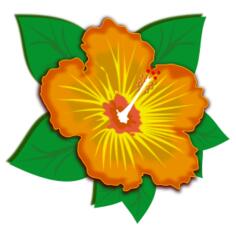 Orange flower with green leaves
