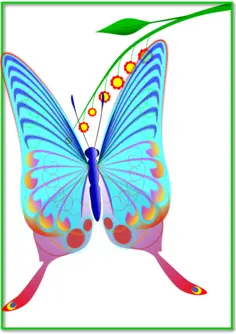 Butterfly with many colors