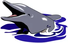 Dolphin smiling