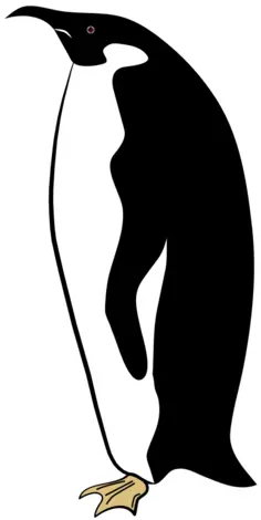 Penguin vector image