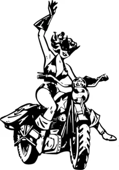 Black cat on motorbike