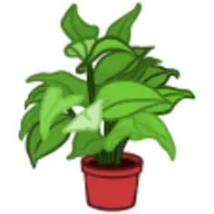 Potted plant image