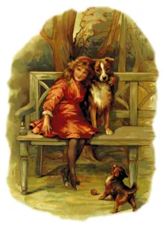 Cute puppies