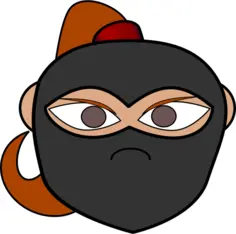 Ninja's head