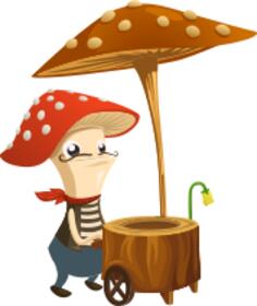 Mushroom chef