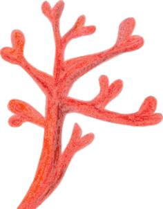Red coral