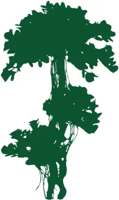 Green leafy branch
