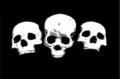 Three skulls