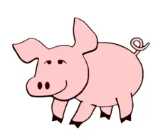 Cute pig image