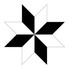 Octagon shape vector image