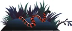 Snake in bush
