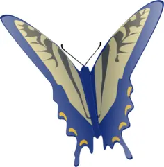 Blue butterfly