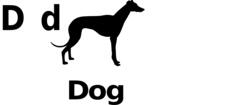 D for dog