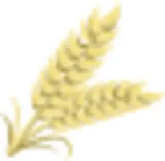 Whole grain