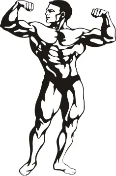 Muscular man