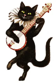 Cat musician