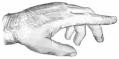 Pencil drawing of a man's hand